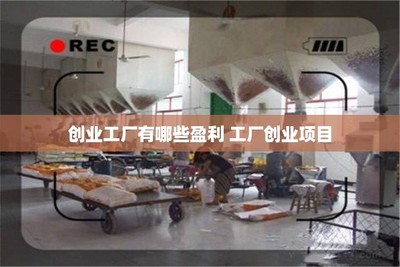 创业工厂的盈利密码 调味品生产项目的机遇与挑战